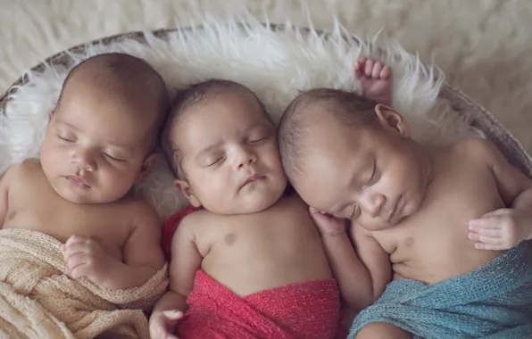 Picture calm, sleep, kids, trio, cute, babies, triplets