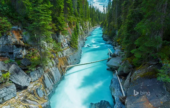 Picture forest, river, rocks, Canada, British Columbia, British Columbia, National Park, NUMA Falls
