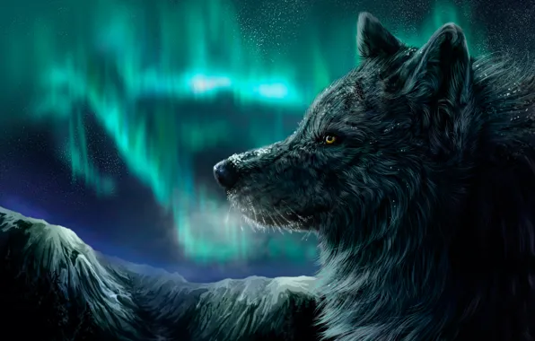 Picture mountains, night, Northern lights, Wolf