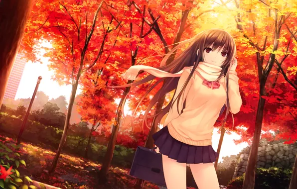 Picture autumn, leaves, girl, trees, skirt, scarf, long hair, sweater, coffee-kizoku