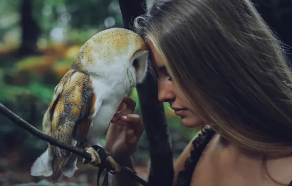 Picture girl, owl, friendship, pet