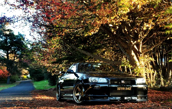 Picture autumn, Nissan, GT-R, Skyline, R34