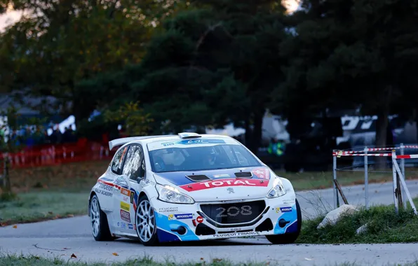 Picture Turn, Peugeot, Rally, 208, ERC, t16