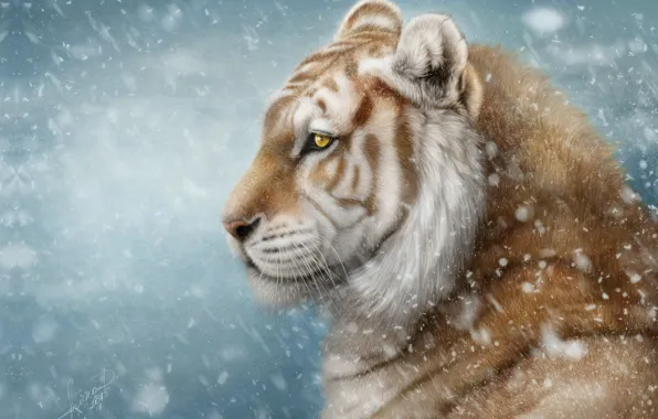Picture winter, snow, tiger, art, Alena Ekaterinburg