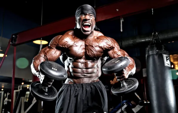 Picture pose, muscle, muscle, gym, bodybuilder, dumbbells, bodybuilder, Kali Muscle, Kali Muscle