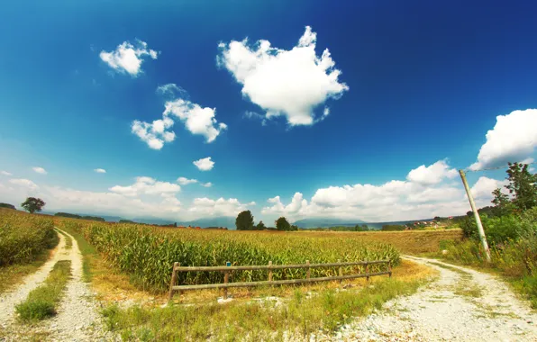 Picture road, field, the sky, clouds, corn, fence
