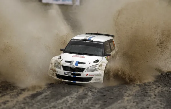 Picture Auto, White, Sport, Machine, Race, Dirt, Puddle, Squirt, WRC, Rally, Rally, Skoda, Fabia, Fabia