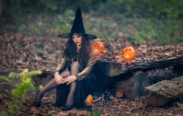 Picture pumpkin, Halloween, witch, the witch