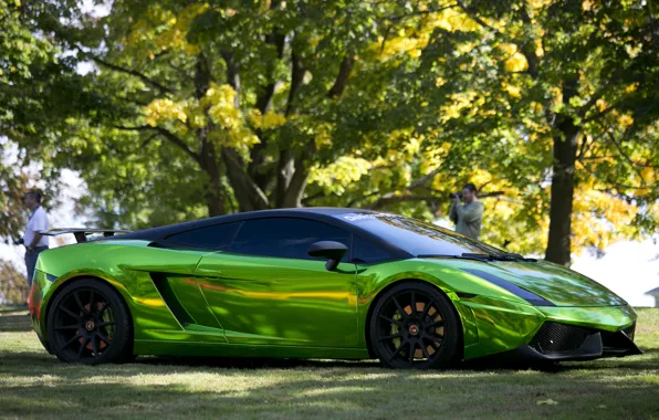 Picture green, gallardo, lamborghini, design, Lamborghini, prior