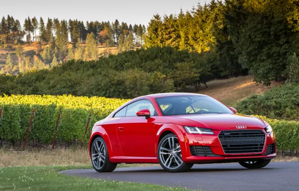 Picture Audi, Audi, Coupe, quattro, TFSI, US-spec, 2015