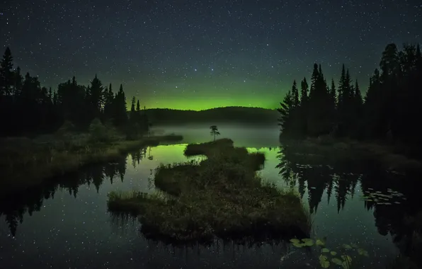 Picture the sky, stars, trees, mountains, night, fog, lake, reflection, Northern lights, mirror, island