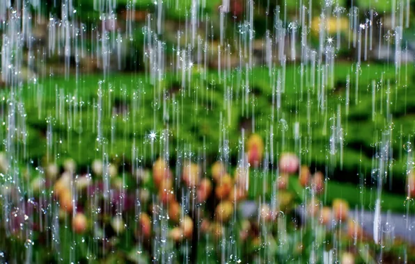 Picture drops, macro, rain, waterfall