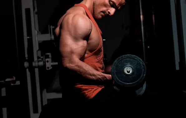 Picture pose, muscle, muscle, training, biceps, gym, training, weight, Gym, dumbbells, biceps, bodybuilder, gym
