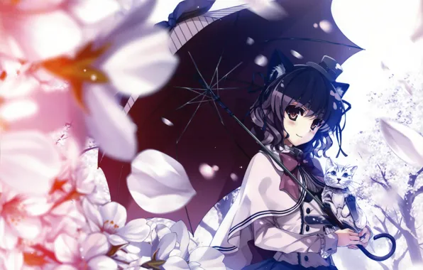 Picture cat, girl, flowers, umbrella, petals, Sakura, art, hat, neko, ears, misaki kurehito
