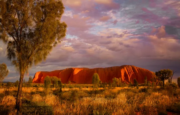 Picture Australia, Uluru, Northern Territory