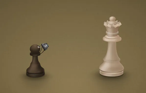 Picture Chess, pawn, cameras