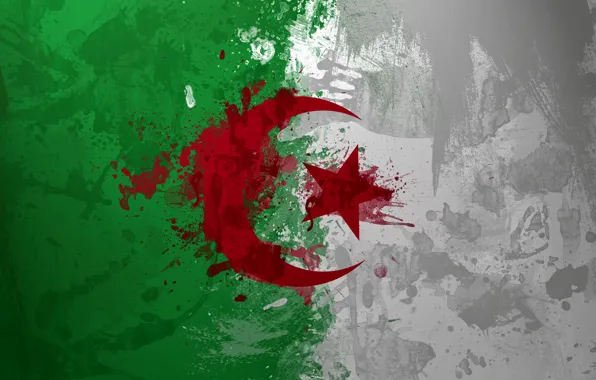 Picture paint, flag, Algeria, Algeria