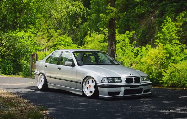 Picture bmw, forest, tuning, germany, low, stance, e36