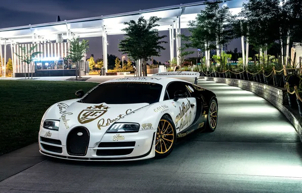 Picture Bugatti, Veyron, Front, New York, NYC, White, Supersport, Spoiler, Pur Blanc