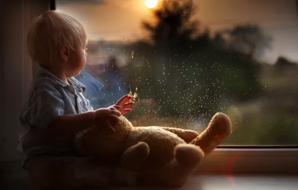 Picture drops, reflection, toy, child, boy, baby, bear, window, bear