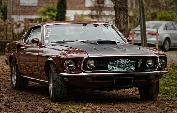 Picture Mustang, Ford, the front, Muscle car, Muscle car