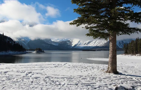 Picture winter, the sky, clouds, snow, trees, mountains, lake, island