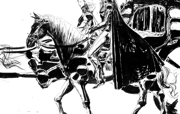 Picture horse, graphics, sword, hat, black and white, rider, coach, cloak, hunter, Kucher, Vampire Hunter D, …