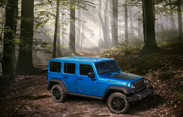 Picture forest, jeep, Wrangler, Jeep, 2015, Wrangler