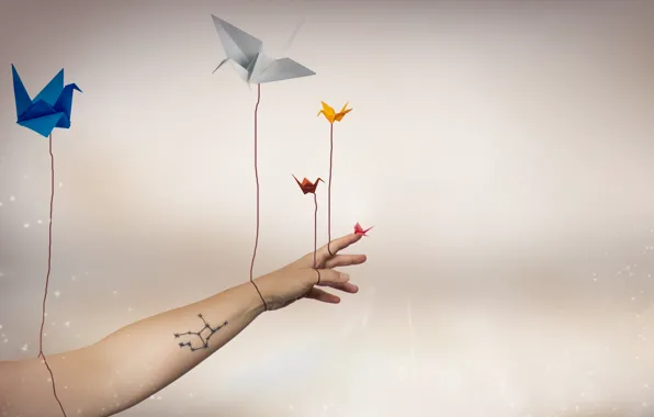 Picture background, hand, cranes
