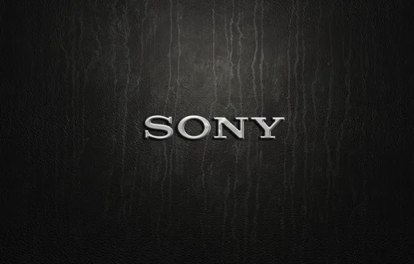 Picture silver, logo, Sony