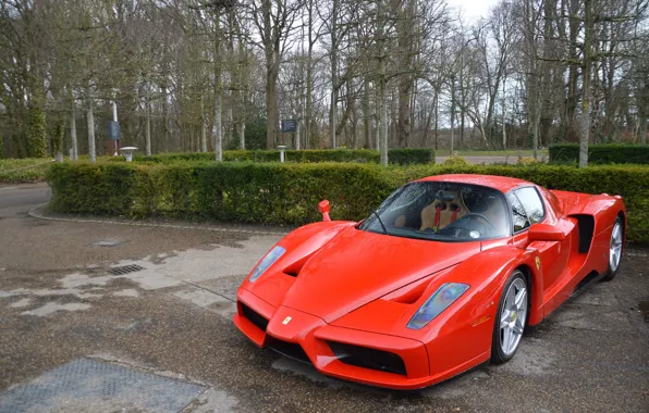 Picture Ferrari, red, supercar, Enzo