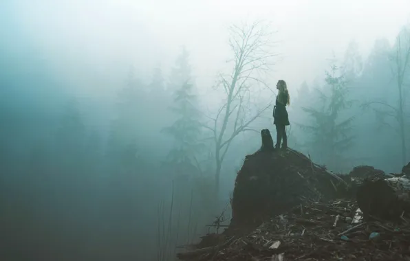 Picture forest, girl, fog, dog