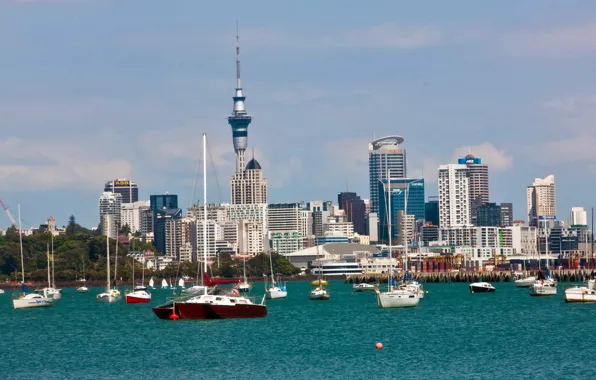 Picture the city, coast, yachts, Auckland, New, Zealand