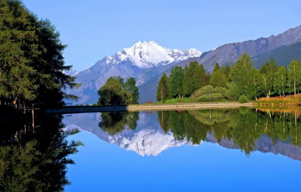 Picture forest, mountains, reflection