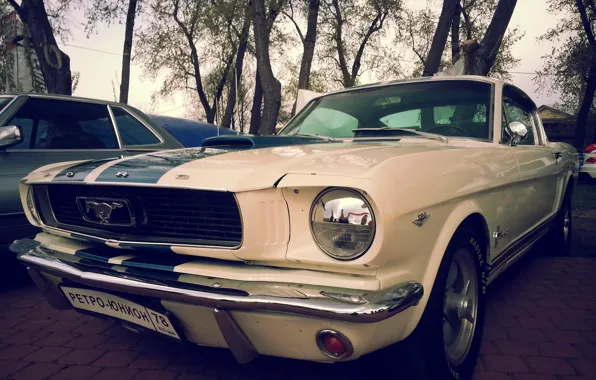 Picture Mustang, Ford