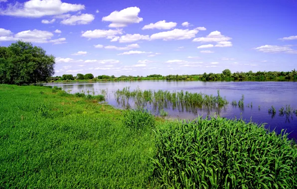 Picture the sky, grass, river