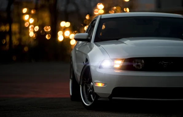 Picture white, Mustang, Ford, Mustang, white, muscle car, Ford, Blik, muscle car, 5.0, front