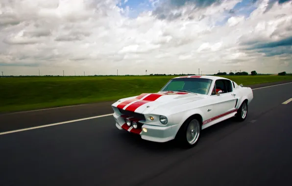 Picture Mustang, Ford, Shelby, GT500E
