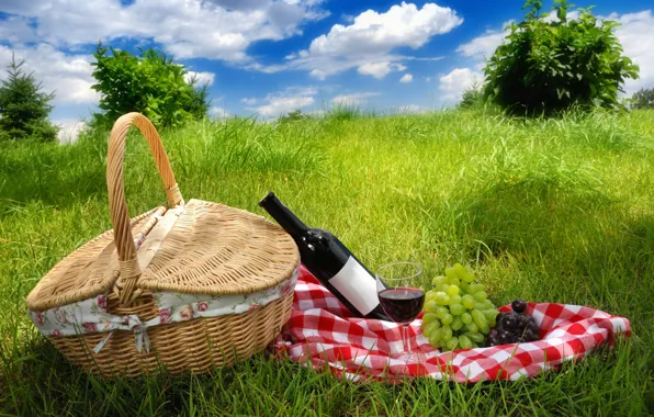 Picture the sky, grass, clouds, landscape, wine, grapes, picnic, nature, In the spring