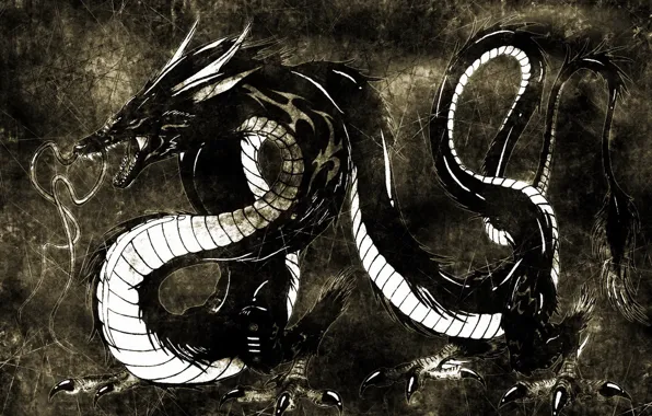Picture black background, 2012, dragon, the year of the dragon, coming, Chinese water dragon