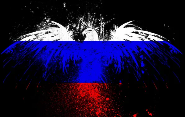 Picture squirt, eagle, paint, the flag of the Russian Federation