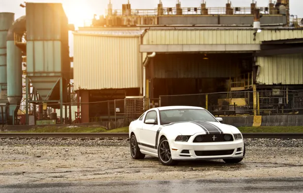 Picture white, Mustang, Ford, Mustang, Boss 302, white, muscle car, Ford, Blik, muscle car, racing stripes