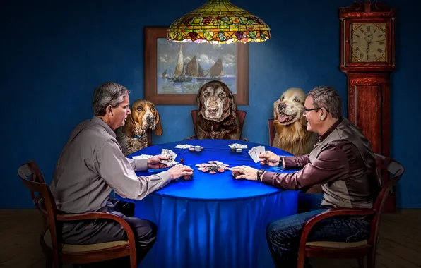 Picture dogs, card, the game, watch, chips, poker, men