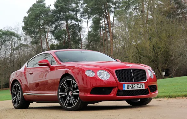 Picture grass, trees, red, Bentley, red, grass, continental, tree, Bentley
