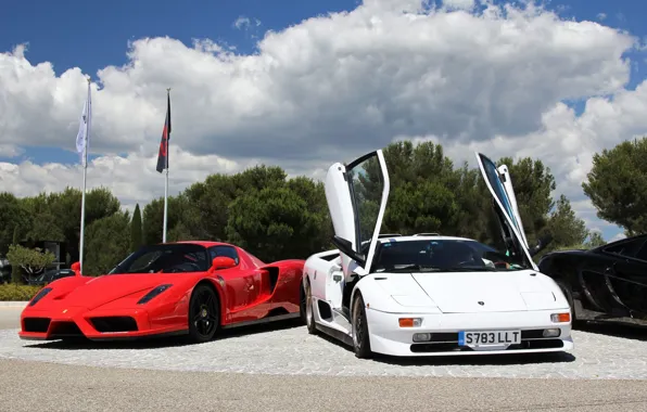 Picture Lamborghini, Ferrari, Enzo