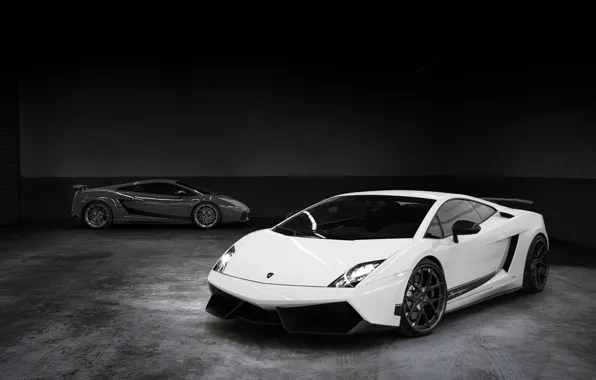 Picture white, grey, background, tuning, Lamborghini, supercar, Gallardo, twilight, Vorsteiner, tuning, Lamborghini, Gallardo