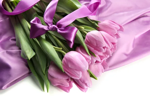 Picture purple, bouquet, tulips, bow, ribbon