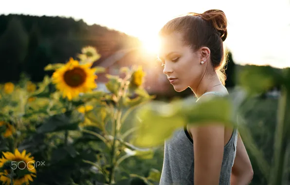 Picture field, girl, light, sunflowers, the sun