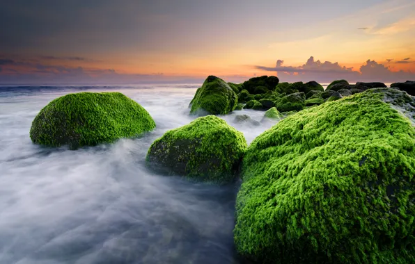 Picture beach, stones, the ocean, Bali, Indonesia, Masceti Beach, weed, Ketewel