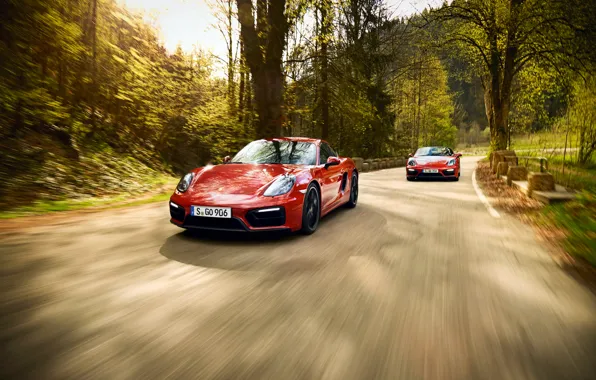 Picture 911, Porsche, Carrera 4, Porsche, Coupe, GTS, 991, Carrera, 2014